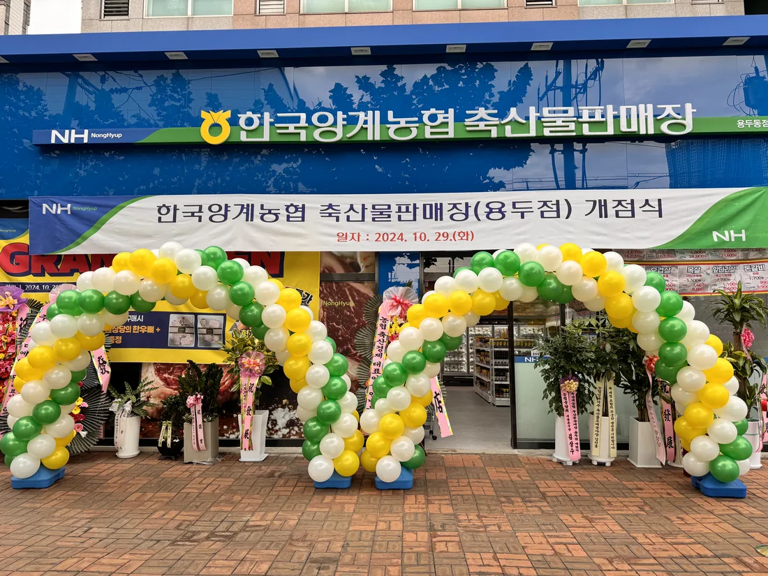 한국양계농협 축산물판매장 용두점 바깥. 파란 간판에 농협 로고와 상호가 붙어 있고, 아래에 개점식 현수막과 축하 화환, 풍선 아치가 놓여 있다. 유리문 오른쪽에 부위별 가격표가 붙어 있다.