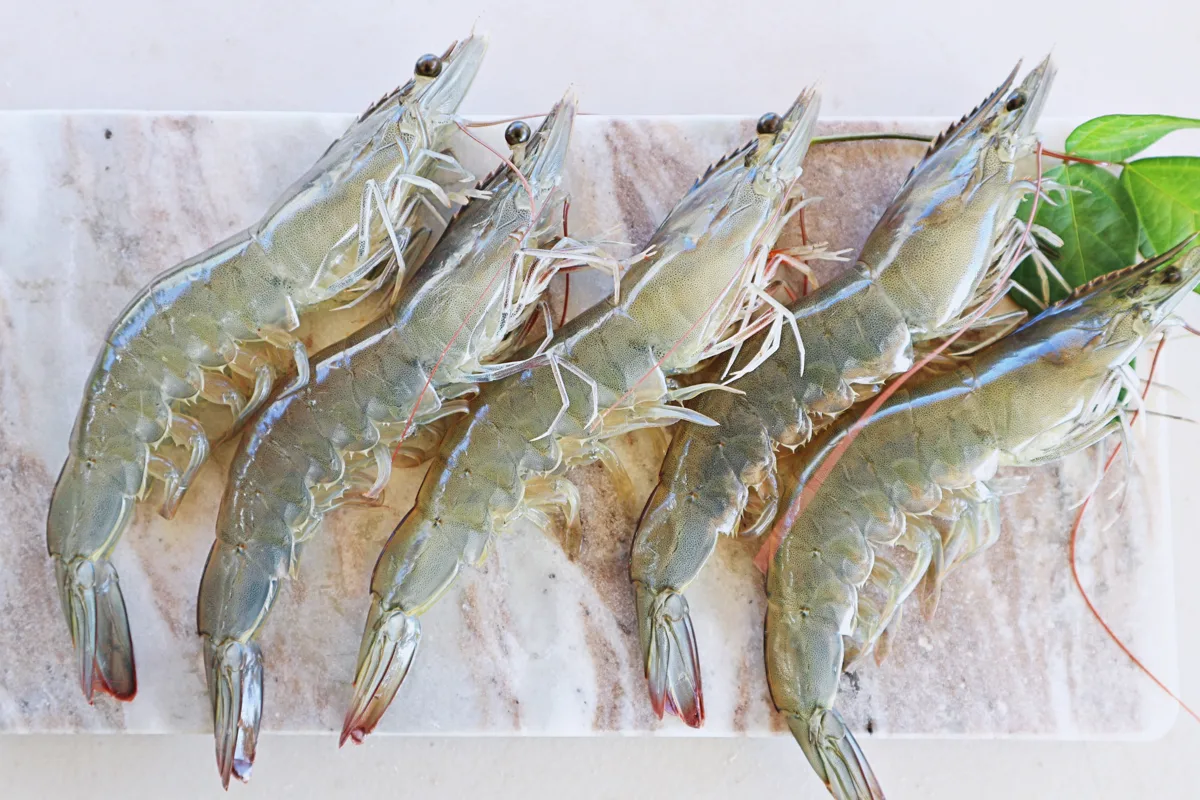 거북왕수산 무항생제 흰다리새우. 스마트스토어에서 1kg 29,800원, 배송비 4,000원, 후기 9,889건.