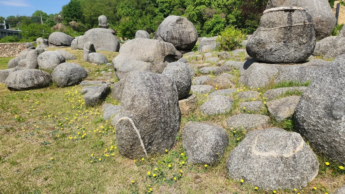 당너머 정육식당 마당에 둥근 바위가 잔디밭 위에 무더기로 놓여 있고 뒤로 돌담이 이어진다.